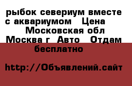рыбок севериум вместе с аквариумом › Цена ­ 100 - Московская обл., Москва г. Авто » Отдам бесплатно   